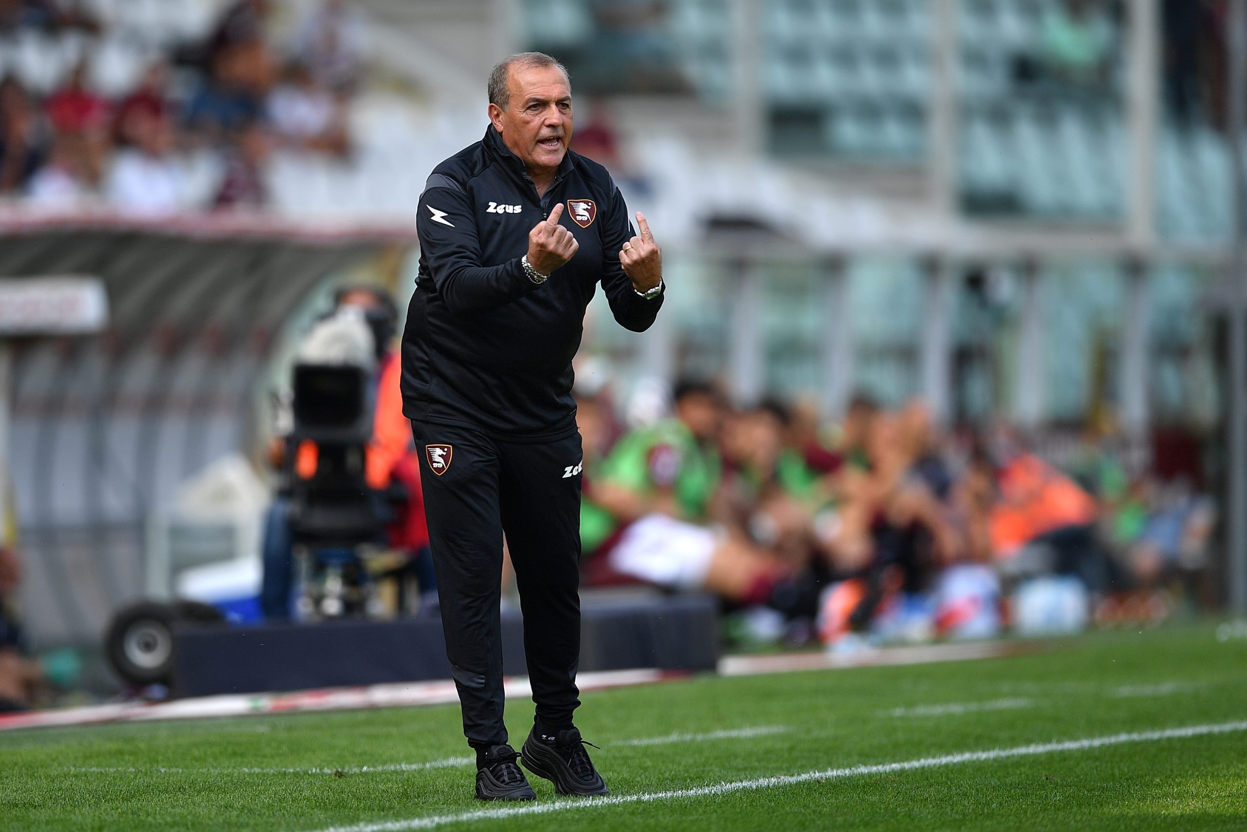 Salernitana – Castori in conferenza: “Così ci salviamo. Bene Ribery”